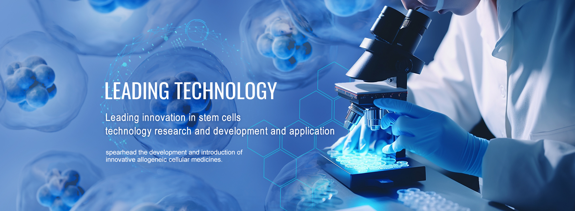 banner-index.jpg banner-index.jpg